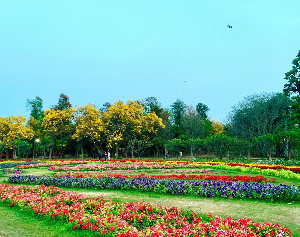 The Best National Parks In Delhi To Visit