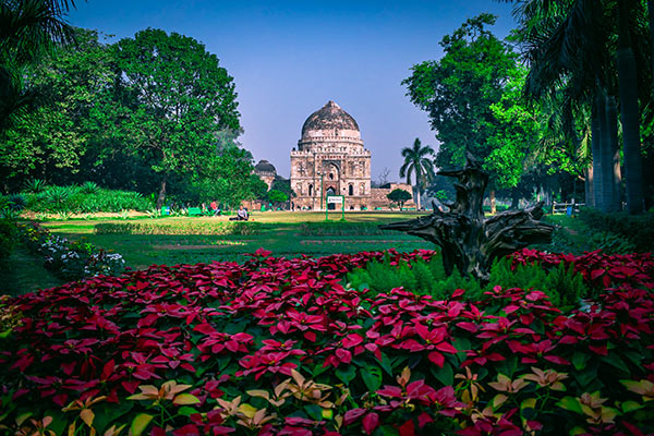 Lodhi garden - Best Picnic Spots In Delhi To Chill Out At