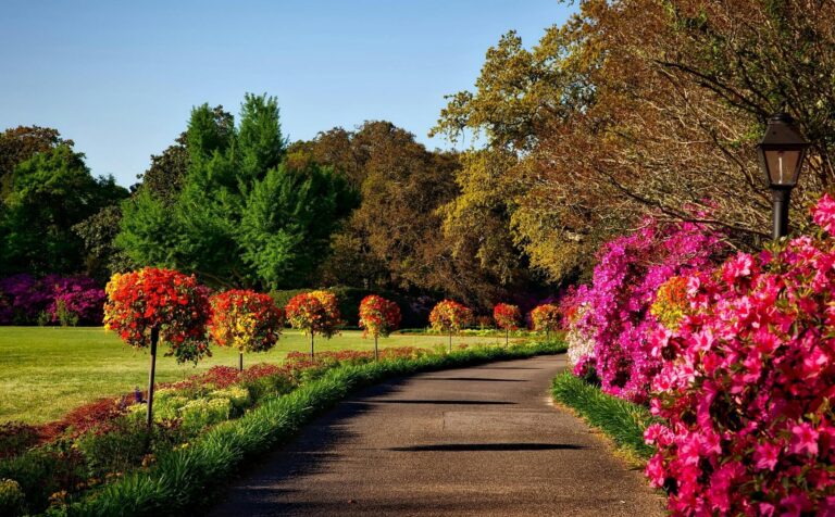 Best Picnic Spots In Delhi To Chill Out At