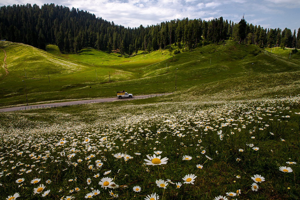 Discover the Best of Kashmir this Summer​ - Gulmarg