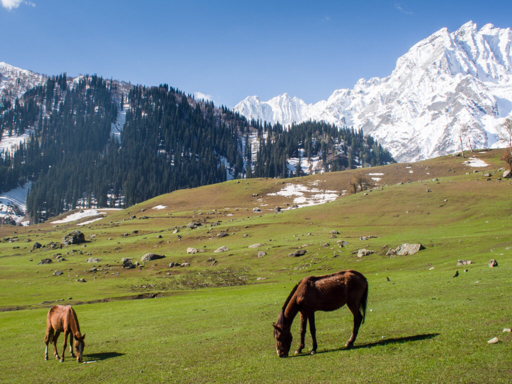 Sonamarg "Meadow of Gold"