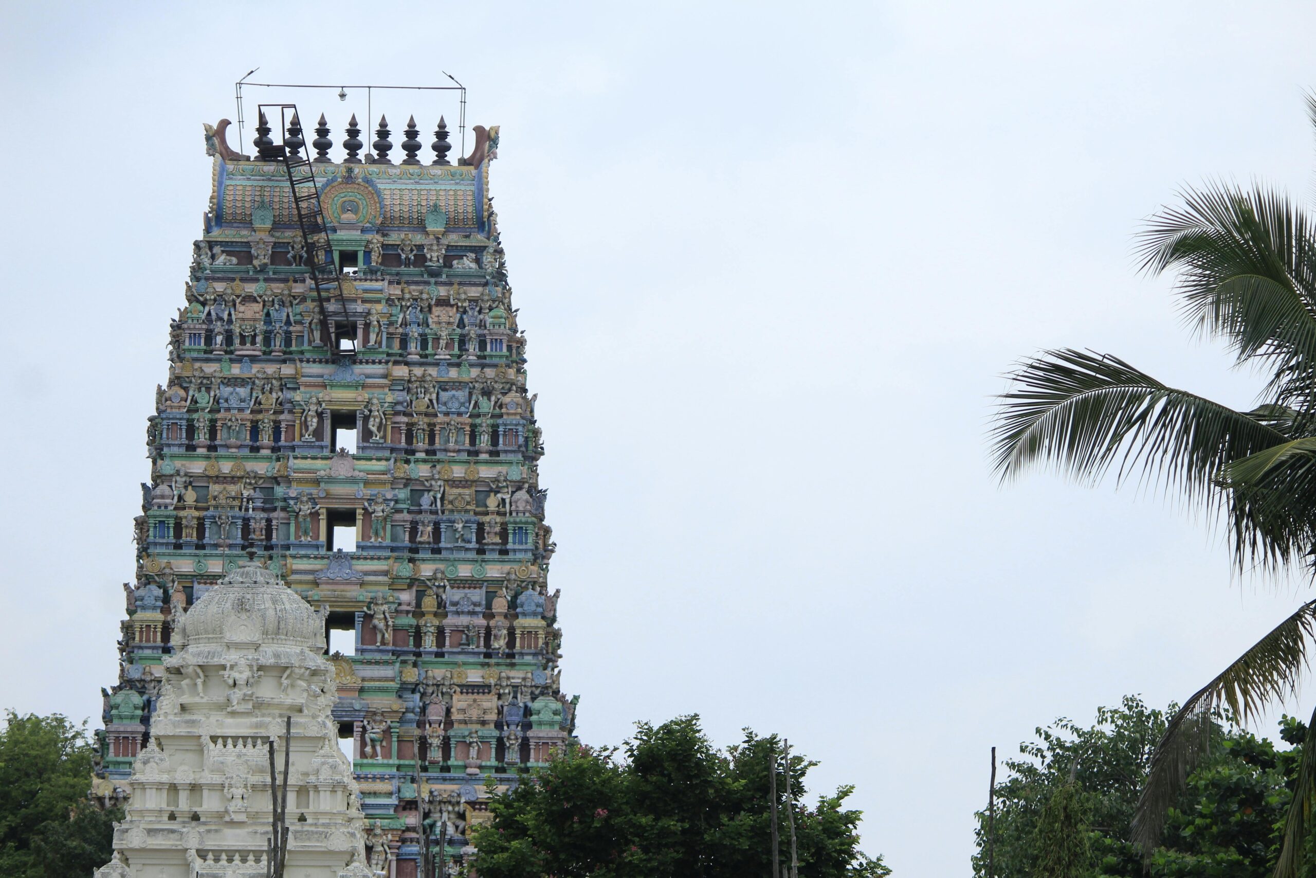 Quick Escapes from Chennai: Day Trip Ideas for Every Traveler