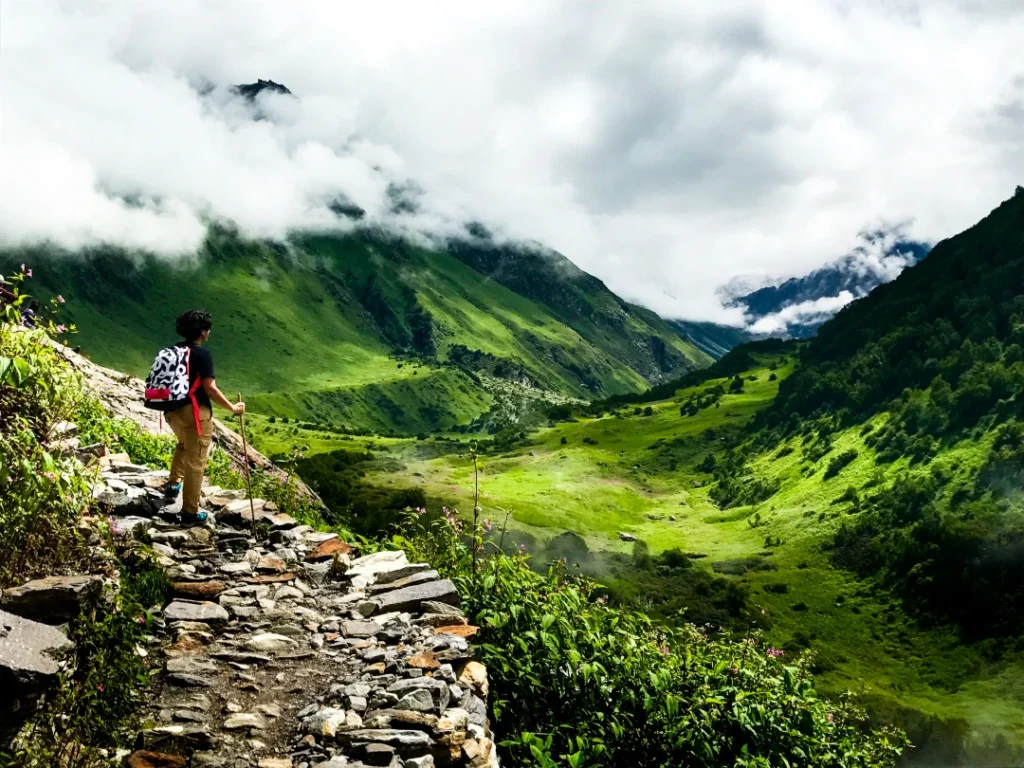 the valley of flowers